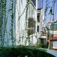 Bán Villa Nguyễn Trọng Tuyển Tân Bình 9,5x15m 4lầu 38tỷ Có thang máy