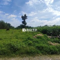 Đất Bến Trường - Hảo Đước - Tây Ninh