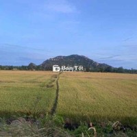 cần bán đất chính chủ mặt tiền quốc lộ 91 vĩnh tế an giang châu đốc .