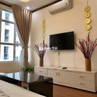 Chuyên giỏ hàng Hoàng Anh Thanh Bình nhà trống/Full nội thất Quận 7