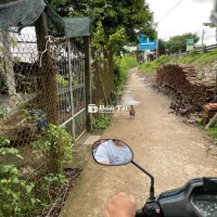 ĐẤT VƯỜN CHÍNH CHỦ CẦN BÁN GẤP GIẢM GIÁ SÂU