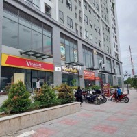 SỐC SHOPHOUSE ECOHOME 3-SỔ ĐỎ LÂU DÀI-KINH DOANH ĐỈNH-DÒNG TIỀN KHỦNG