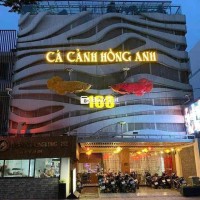 Mặt Tiền 12m Trung Tâm Phú Nhuận, 5 tầng, có Thang máy
