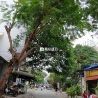 Mặt tiền Trần Thị Liền , Lđh KhuB, DT: 10x15 .1 trệt 2 lầu . 18,8 tỷ