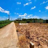 ĐẤT THỔ CƯ TRUNG TÂM CHỢ PHÚ THẠNH TÂN PHÚ ĐÔNG 🍃 GIÁ : 165 triệu/nền