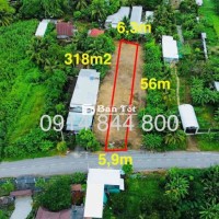 🏠BÁN ĐẤT 318M² MT LỘ HẬU TÂN THẠNH TÂY – 5.85X56M – 2 TỶ 850 TL MẠNH