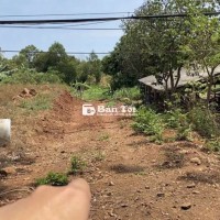 Chủ đi Mỹ bán gấp 290tr/2472m2 sổ riêng thị trấn Tân Phú Đồng Nai