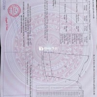 Bán vườn cây ao cá 10300m2 giá 3.2 triệu 1m2 gần BV Nhi đồng Thành phố