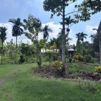 🌿633TR SỞ HỮU NGAY ĐẤT VƯỜN 1.155M² GẦN HỒ – QUY HOẠCH ĐẤT Ở NÔNG THÔN