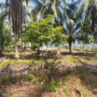 Đất công Phường Nguyệt Hoá