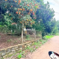 🌳BÁN GẤP VƯỜN CHÔM CHÔM NGON GẦN NGÃ TƯ DẦU GIÂY – GIÁ CHỈ 1,2 TỶ/SÀO🍃