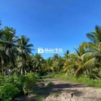 ĐẤT GẦN BẾN PHÀ - KHU DÂN CƯ CHỢ ĐÔNG - SẴN THỔ CƯ 🌿🍃🎋
