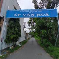 ĐẤT BÌNH CHÁNH - SỔ HỒNG RIÊNG - GIÁ 480 TRIỆU.