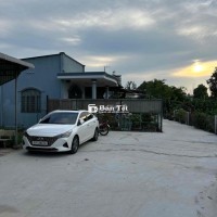 Đất 5x20m Lê Thị Hà - Ấp Đình xã Tân Xuân, TP Hồ Chí Minh
