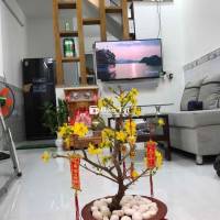 Nhà đẹp - Full nội thất