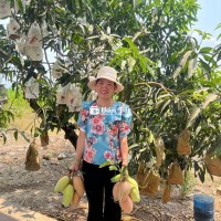 Bán vườn xoài Xuân Hưng Xuân Lộc Đồng nai