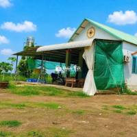 Đất nhà kèm vườn