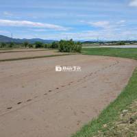 BÁN ĐẤT LÚA MẶT TIỀN ĐƯỜNG BÊ TÔNG LIÊN XÃ – THÔN HẬU SANH, NINH PHƯỚC
