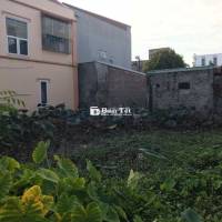 Cần bán đất ở Trang Quan , An Hải, Hải Phòng