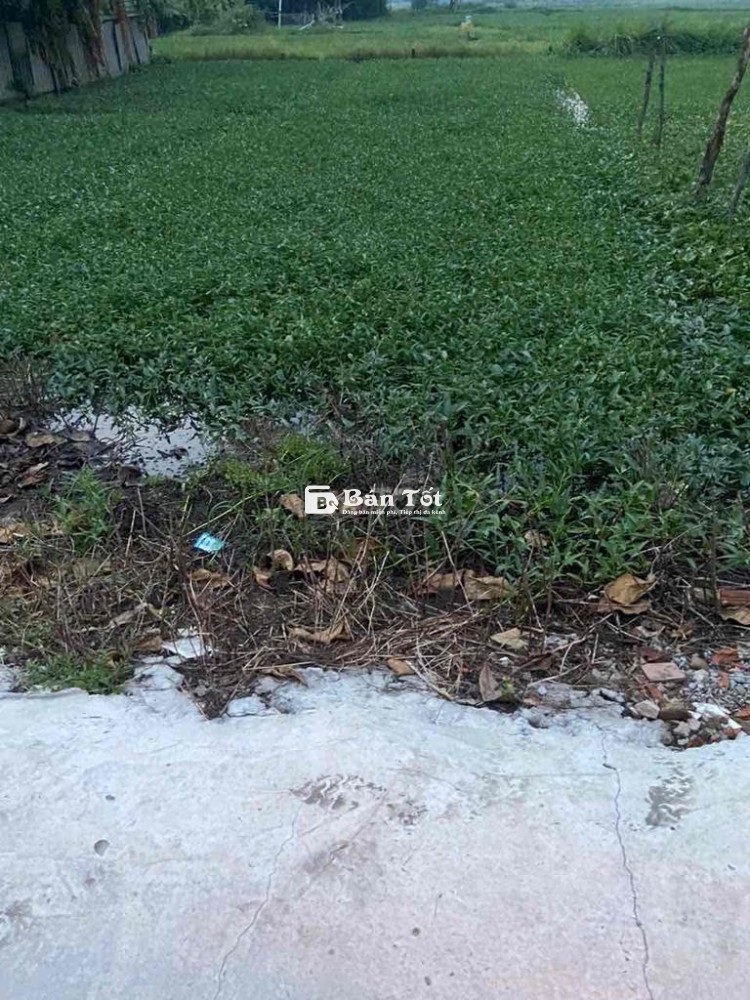 Cần Bán Gấp Lô Đất 2500m² Giá 18.2 Tỷ Ngay Chung Cư Picity, UBND P. Thạnh Xuân  