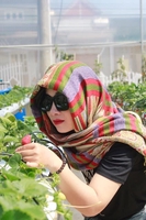 Trần Thuý Anh