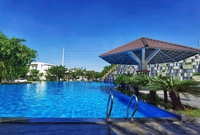 Quỳnh Hương