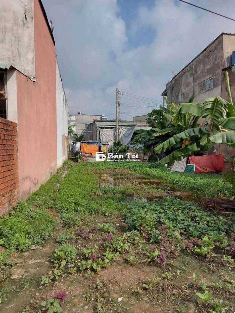 Chính Chủ Bán Gấp Lô Đất 390 Triệu - Giá Rẻ Cho Người Cần!  