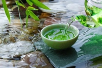 Vy Ngoc