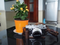 Dịch vụ pháp lý