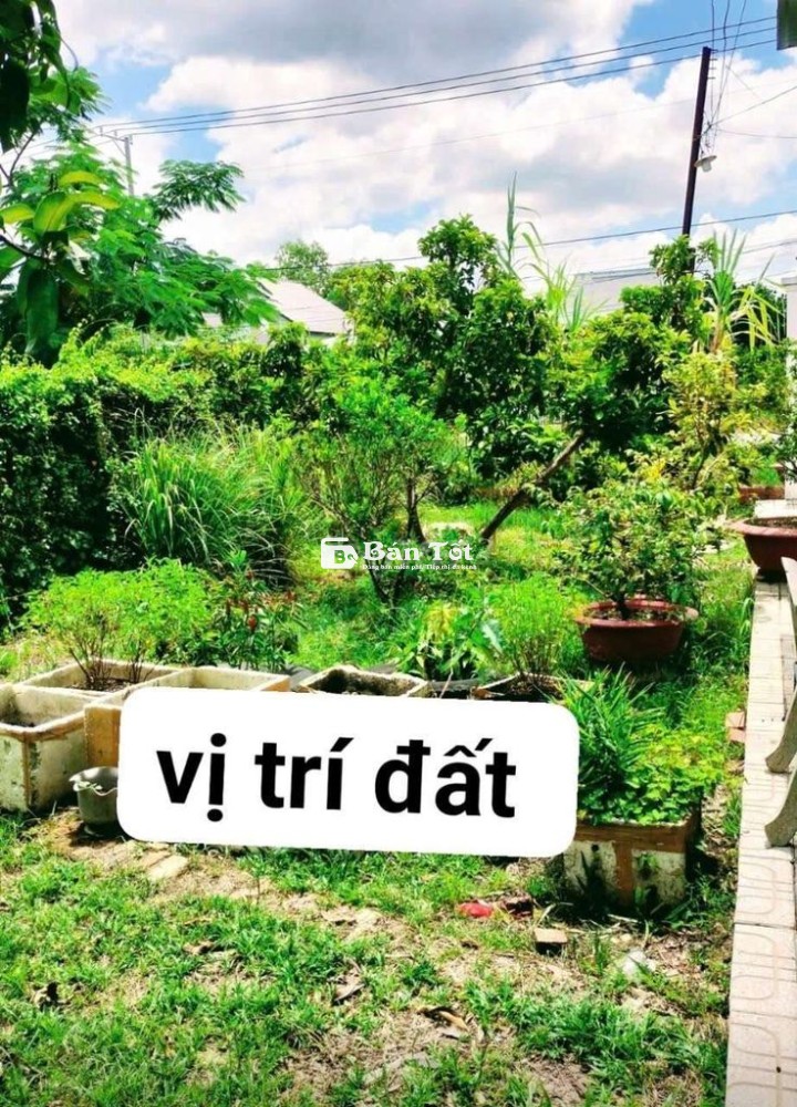 Đẹp Mê Ly! Đất Thổ Cư Chính Chủ Tại Tây Ninh - Mặt Tiền Rộng 30m, Sổ Hồng Riêng, Vị Trí Vàng