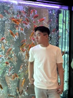 Anh The