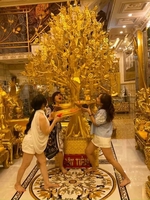 A sửu