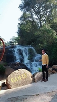 Nguyên