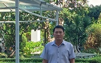 Mai Hoàng