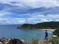 Hồng