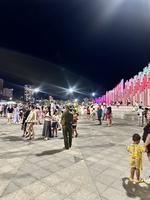 NHÀ PHỐ Q12