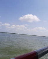 Bảo Trâm