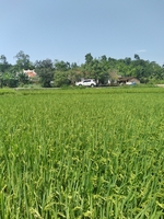 Đất nền Đà Nẵng