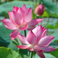 Bình An