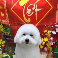 Tấn Hậu
