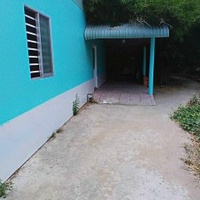 Tran Huu Tri