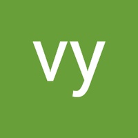vy cao