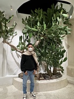 Hoàng Minh