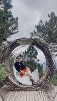 Bảo Anh