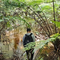 Hung Phu Nguyen
