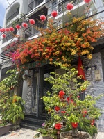 Hoàng Tuấn
