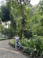 nguyen phong