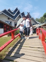 hằng hằng 
