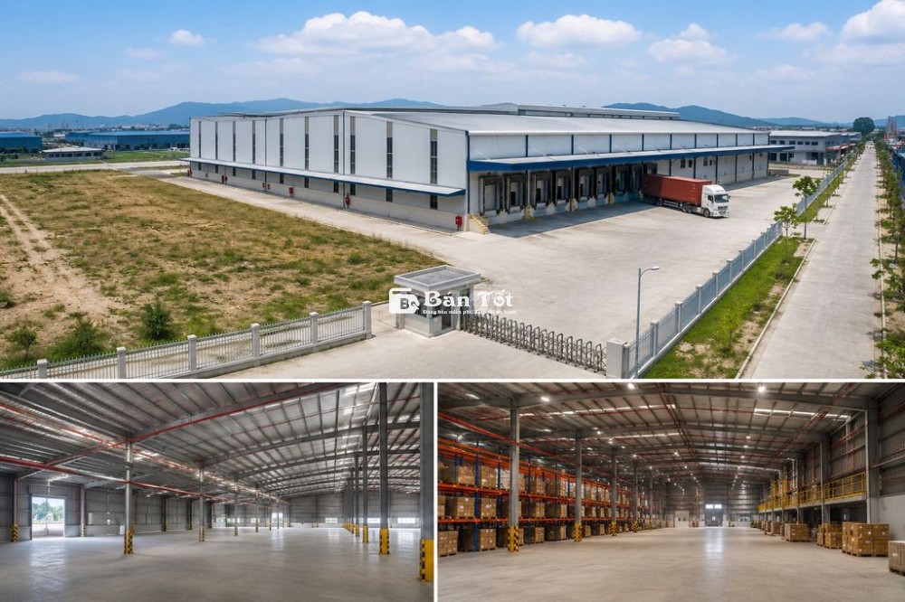 CHO THUÊ KHO 2.000M² + 3.000M² ĐẤT TẠI QL1A – PCCC TỰ ĐỘNG, GIÁ 70K
