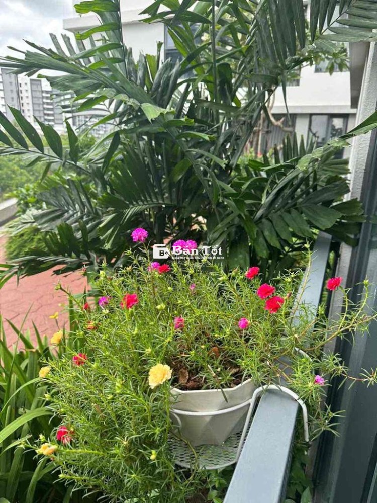 Cho thuê 2PN Diamond Alnata 92m2 trệt trên không